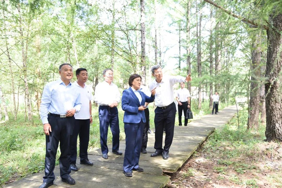 布小林在赤峰市调研时强调 做好常态化疫情防控下“十四冬”各项筹备工作(图3)